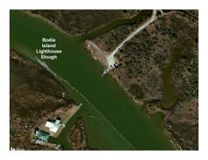 Bodie Island Slough Close - Presentation