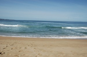 DE-SG - Rip Ground Shot