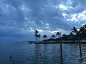 IMG_6830