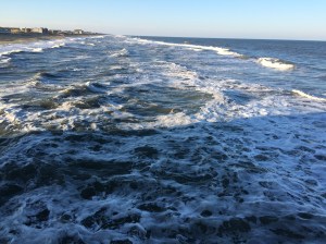 img_0850
